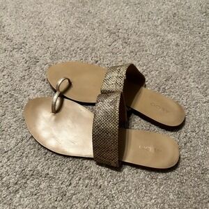 Aldo Womens Gold Snakeskin Embossed Toe Loop Flat Slide Sandals Size 9 US 40 EUR